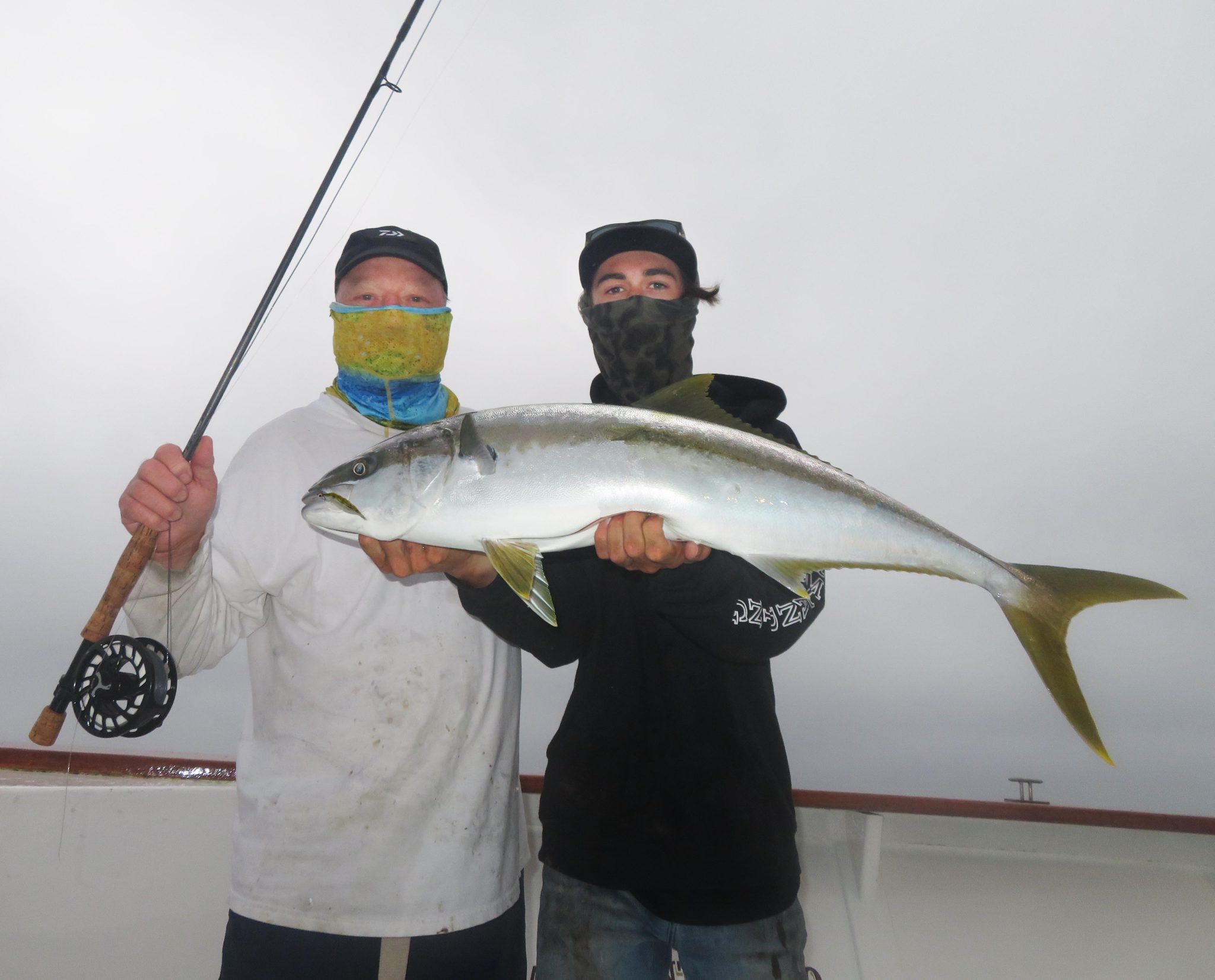 Mercury In Yellowtail: How Much Is Too Much? - axcqrn5