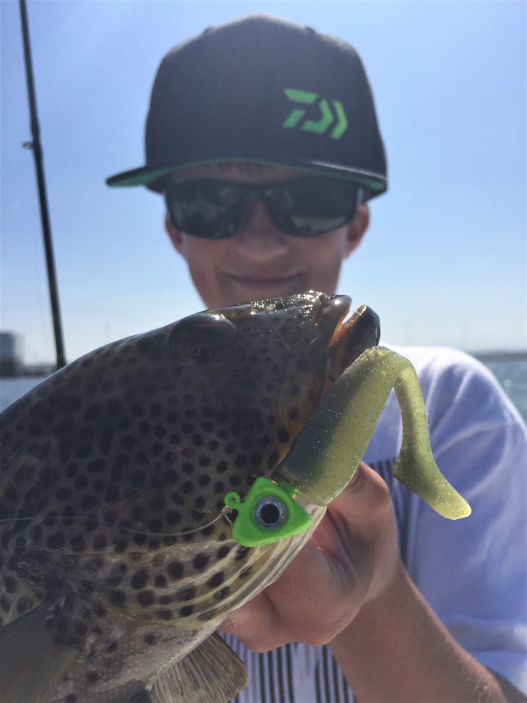 San Diego Bay Winter Ned Rig Fishing 