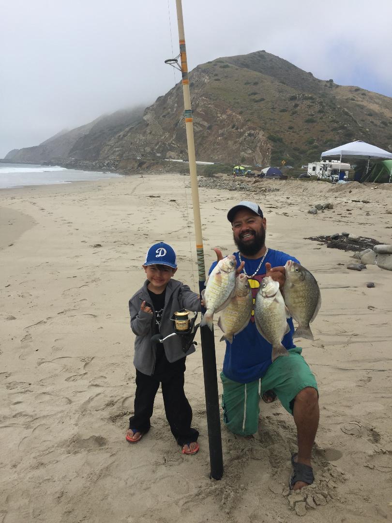 THE BIGGEST SURF PERCH EVER!!! 
