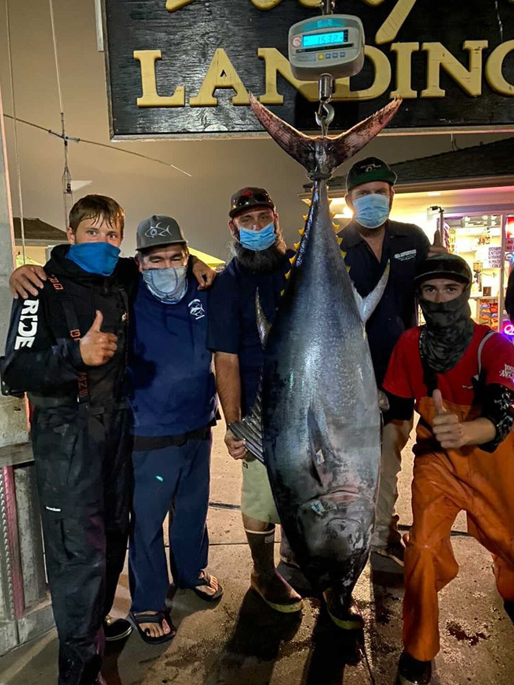 Hayabusa Magnum Circle Hooks! A 9/0 helped in the efforts of catching this  330lb bluefin Tuna! Great catch Manny! #saltwater #bluefintun