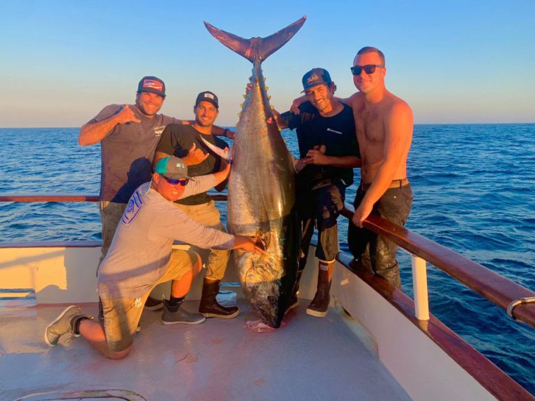 Record-size yellowfin tuna almost pulls angler overboard