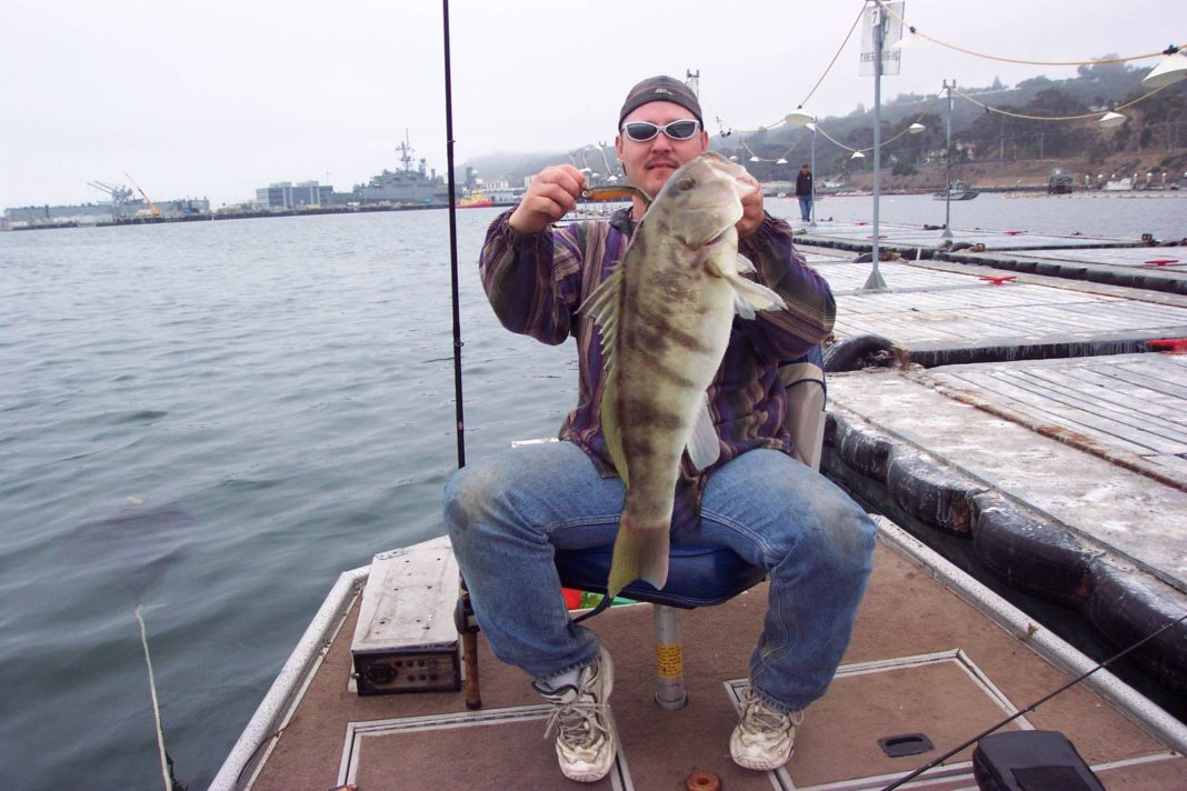 San Diego Bay sand bass move in Western Outdoor News