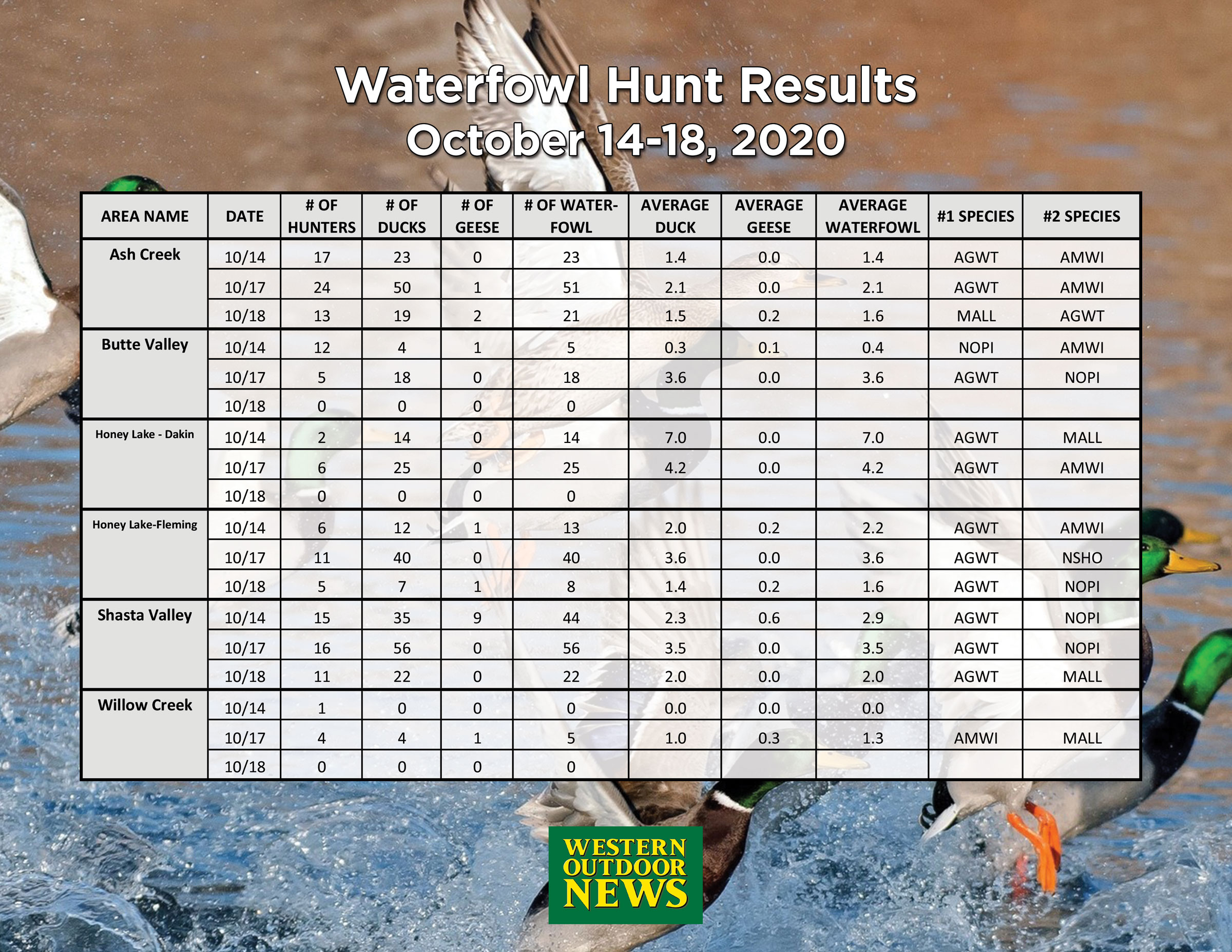 Waterfowl hunt results and preopener scouting reports, October 1418