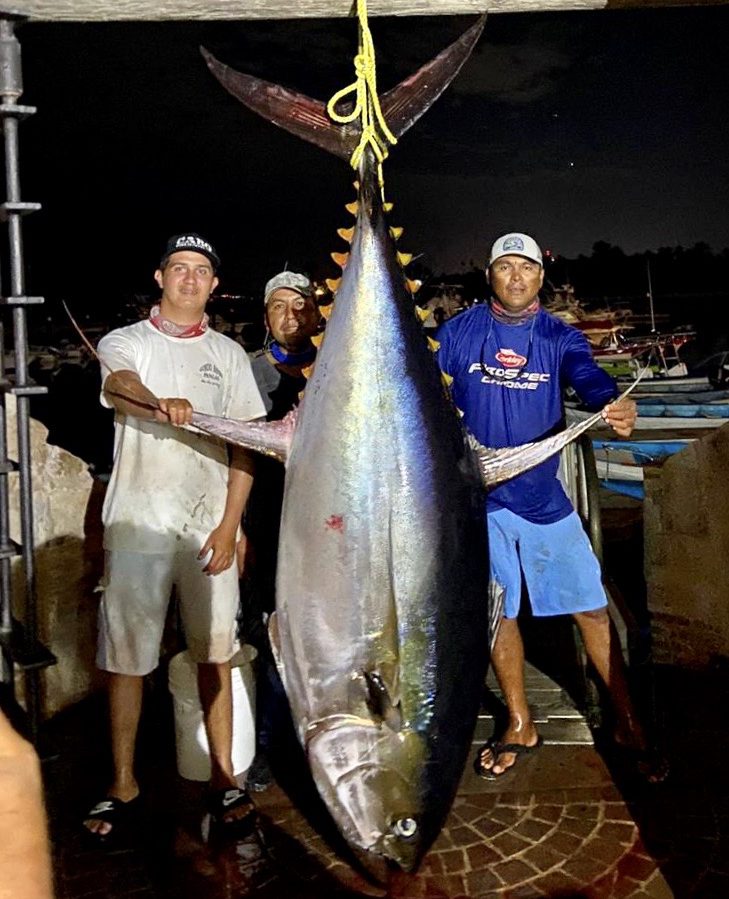 The Inside Track on Cabo's Sport Fishing Circuit