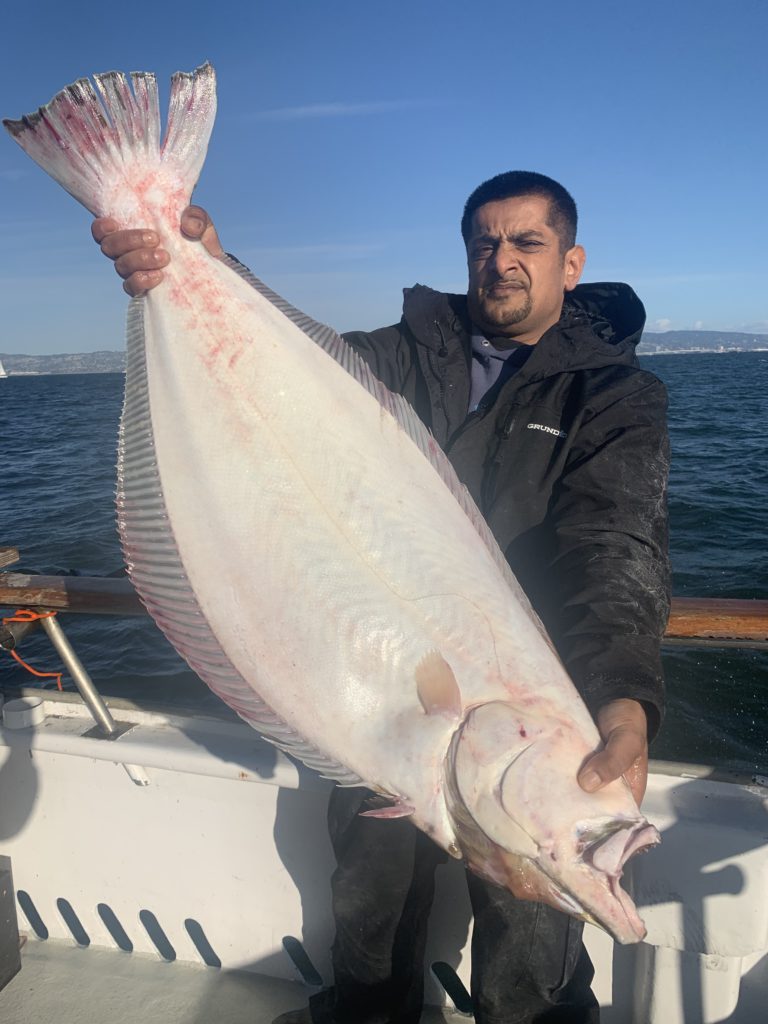 5 Squid Bait Dropper Loop Rig Bottom Fishing 7/0 Hooks Rockfish Lingcod  Halibut 