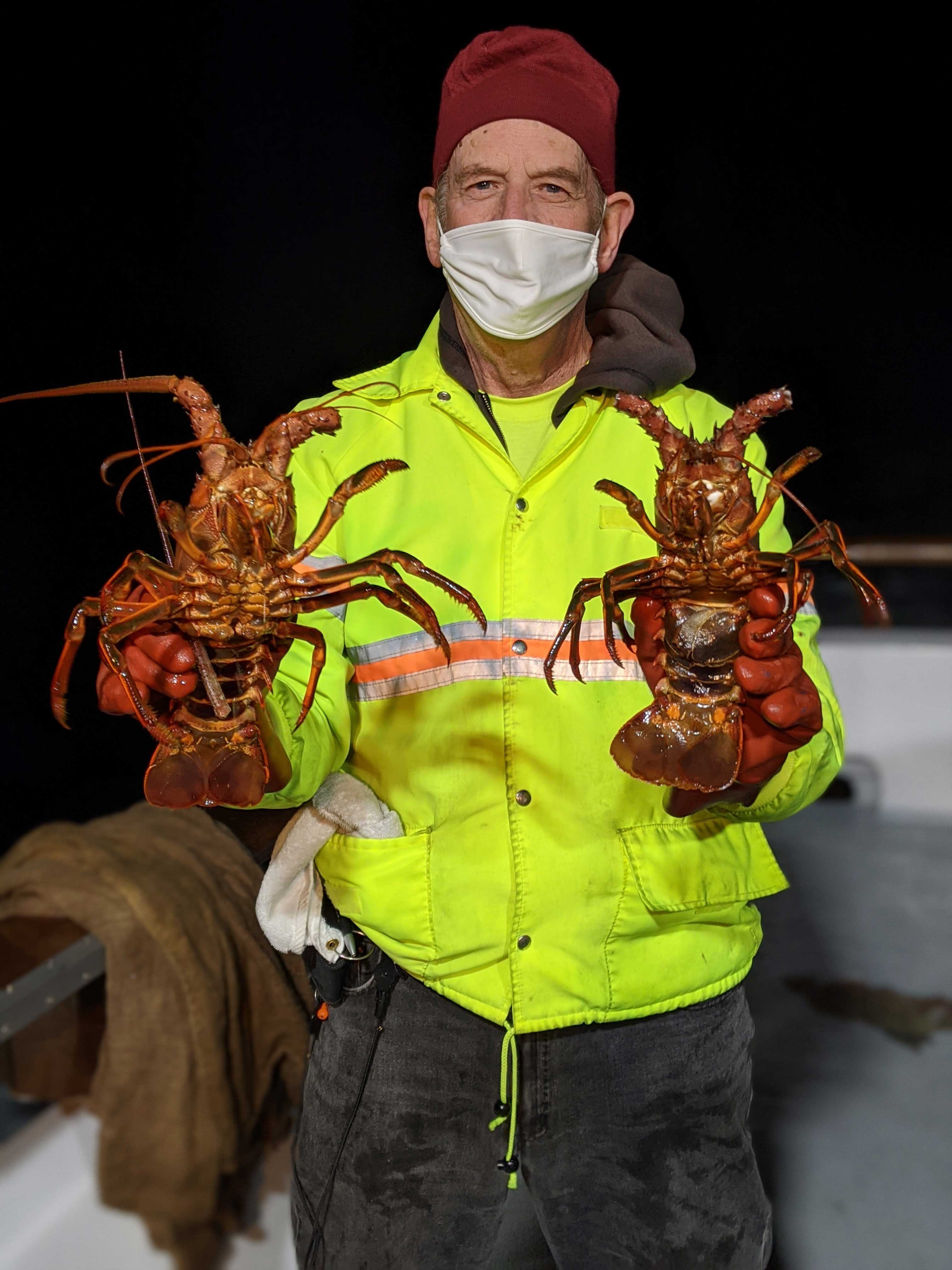 Hoop Netting for Lobster: Redondo Beach & Dana Point 