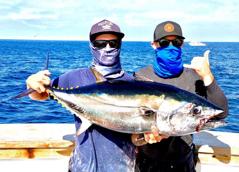 Jacana tuna fish landing. Stevedore bring yellowfin tuna for