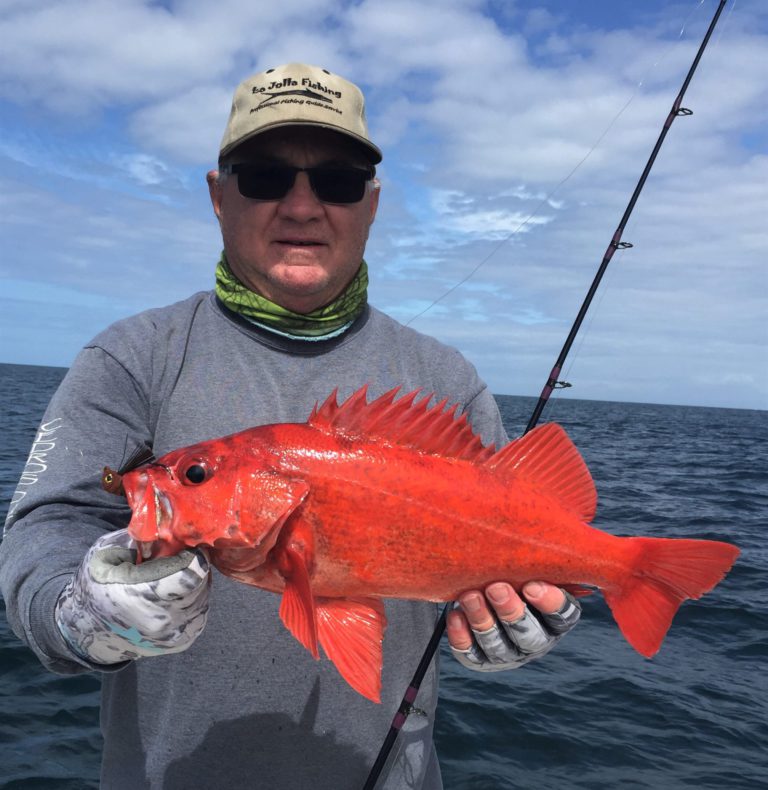 Red Scorpionfish Fishing: species guide, charters and destinations - Tom's  Catch