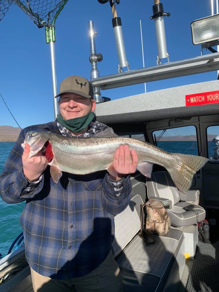 5 Squid Bait Dropper Loop Rig Bottom Fishing 7/0 Hooks Rockfish Lingcod  Halibut