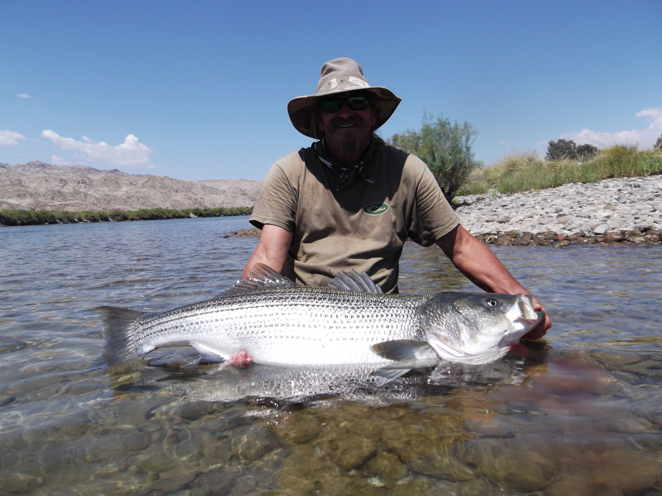 Fishing for Trout on the Colorado River