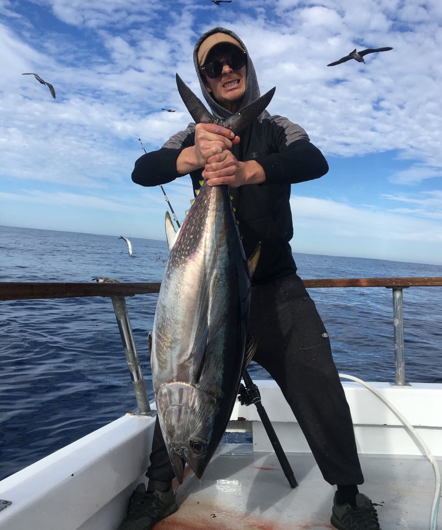 Sydney Game Fishing Club - Game changer headed out for some Easter fun ran  into some Yellowfin weighed this, 65kg on 24kg on there way back in just  North East of Browns
