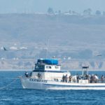 Clemente-fishing-boat-oceanside-DSC_4928