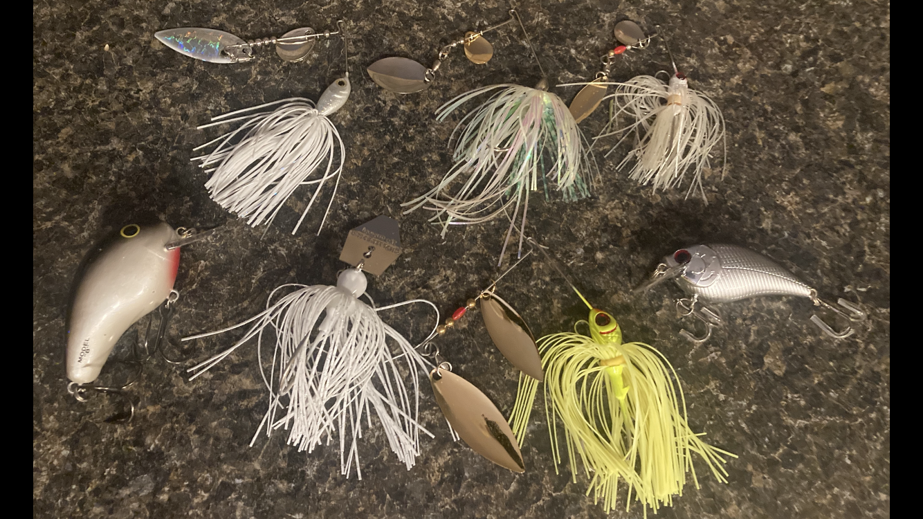 Fishing Blade Baits in the Bay