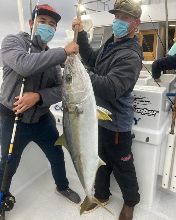 Angler Chronicles - Fun size Yellowfin Tuna for the Bass Rod