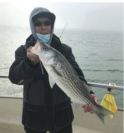 Big fish being caught late in season in San Francisco Bay