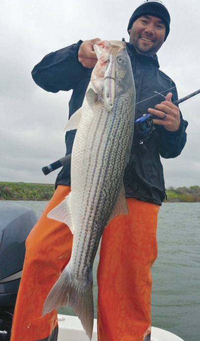 Striped Bass Fishing With Custom Glide Baits 