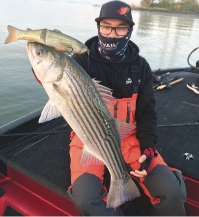 Best Bait for Striped Bass and How to Use It