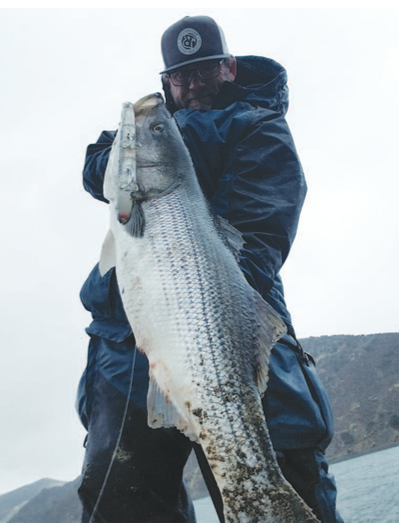 Massive Striper Fishing  Catch n' Cook a Monster! 