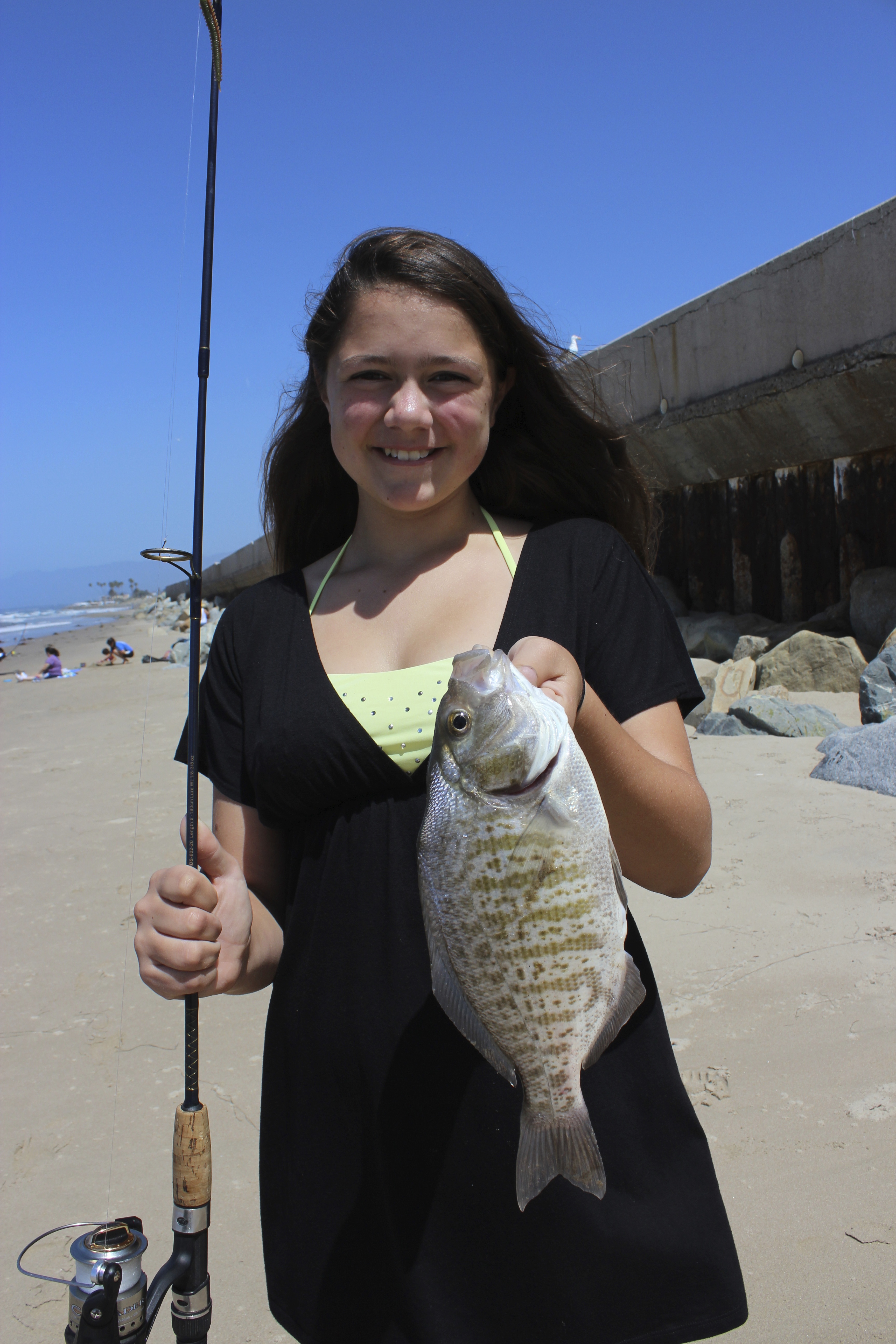 Early spring surfperch
