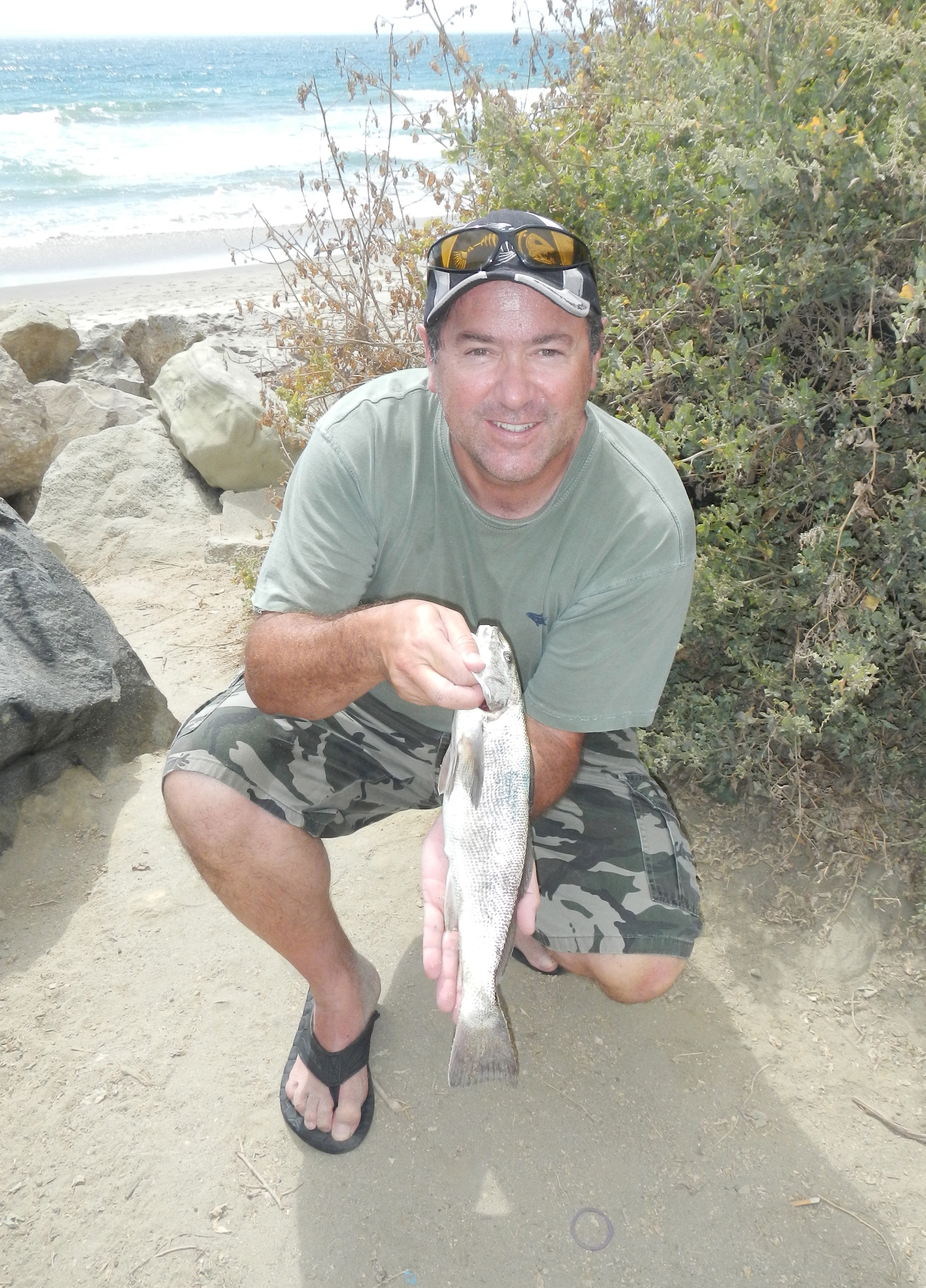 Early spring surfperch