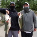 Allen and Curtis lam caught two Largemouth Bass and the biggest one was 10.5 lbs. they were using Speed Worms caught at the Dam.