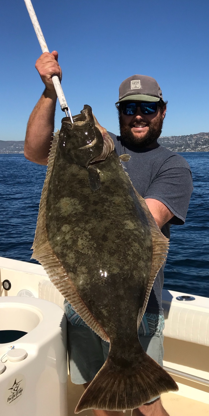 Carolina rig for California Halibut. Surf fishing in Southern