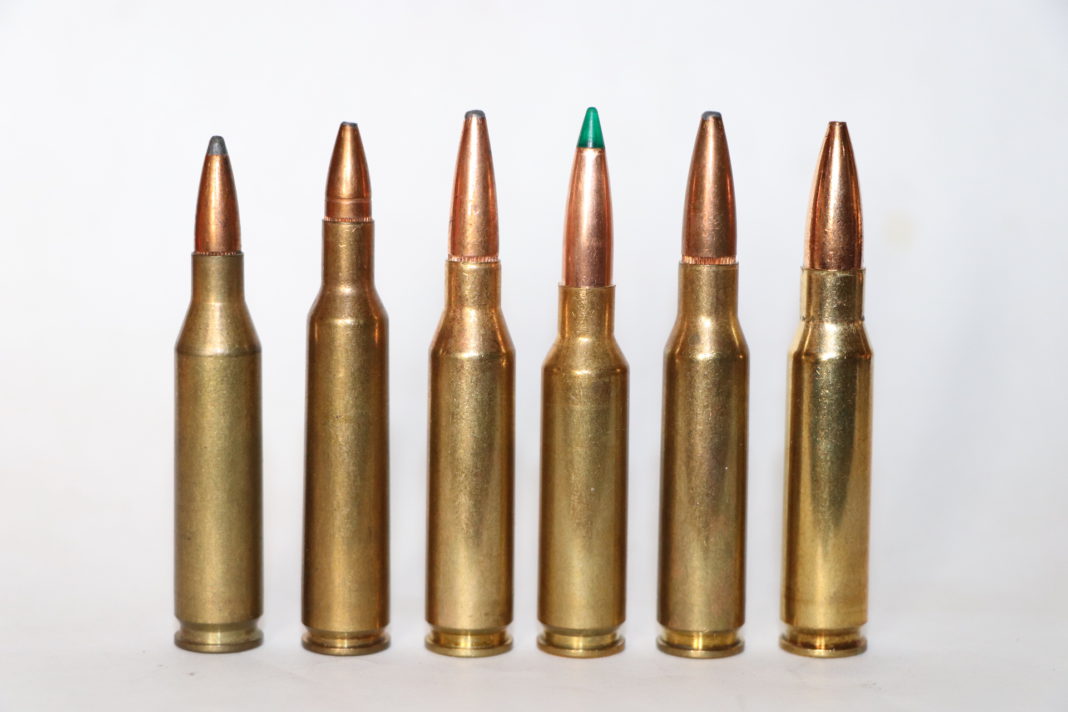 Guns and ammo for wild pigs | Western Outdoor News