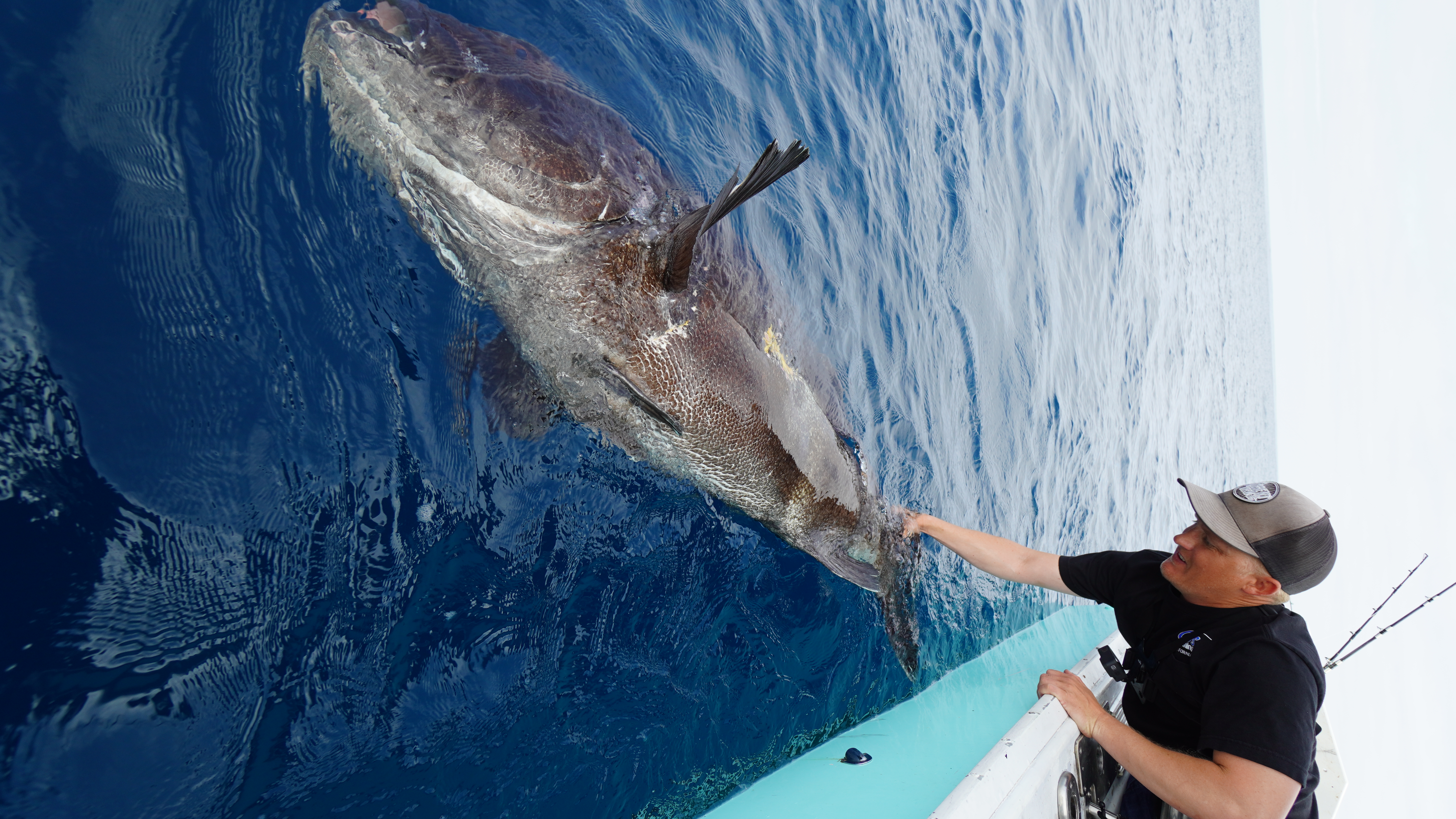 Florida-based Landshark Outdoors and Brook Crist Outdoors