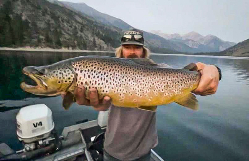 Bigs continue to cooperate with Eastern Sierra anglers
