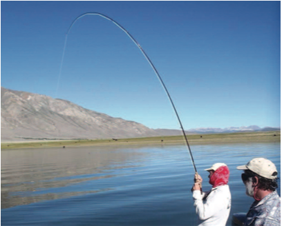 Fishing Line and Hooks — Wildcare Eastern Sierra