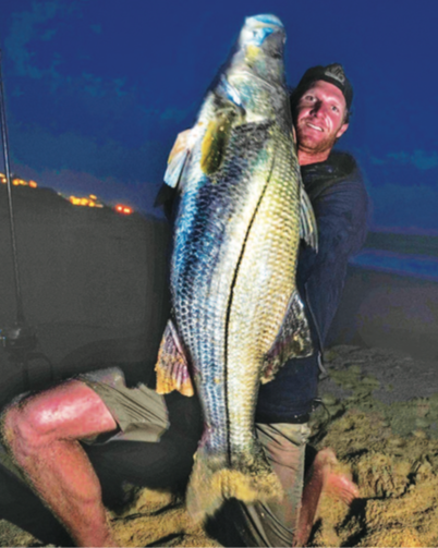 Pending all-tackle record snook a surprise for surfcaster
