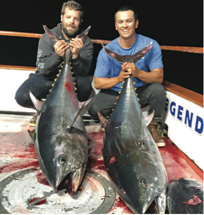 Fishing YELLOWFIN TUNA FOAMERS and Kelp paddy yellow tail off san Diego  (Tuna on the iron)! 