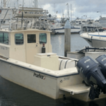 bright-sportfishing