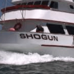 shogun