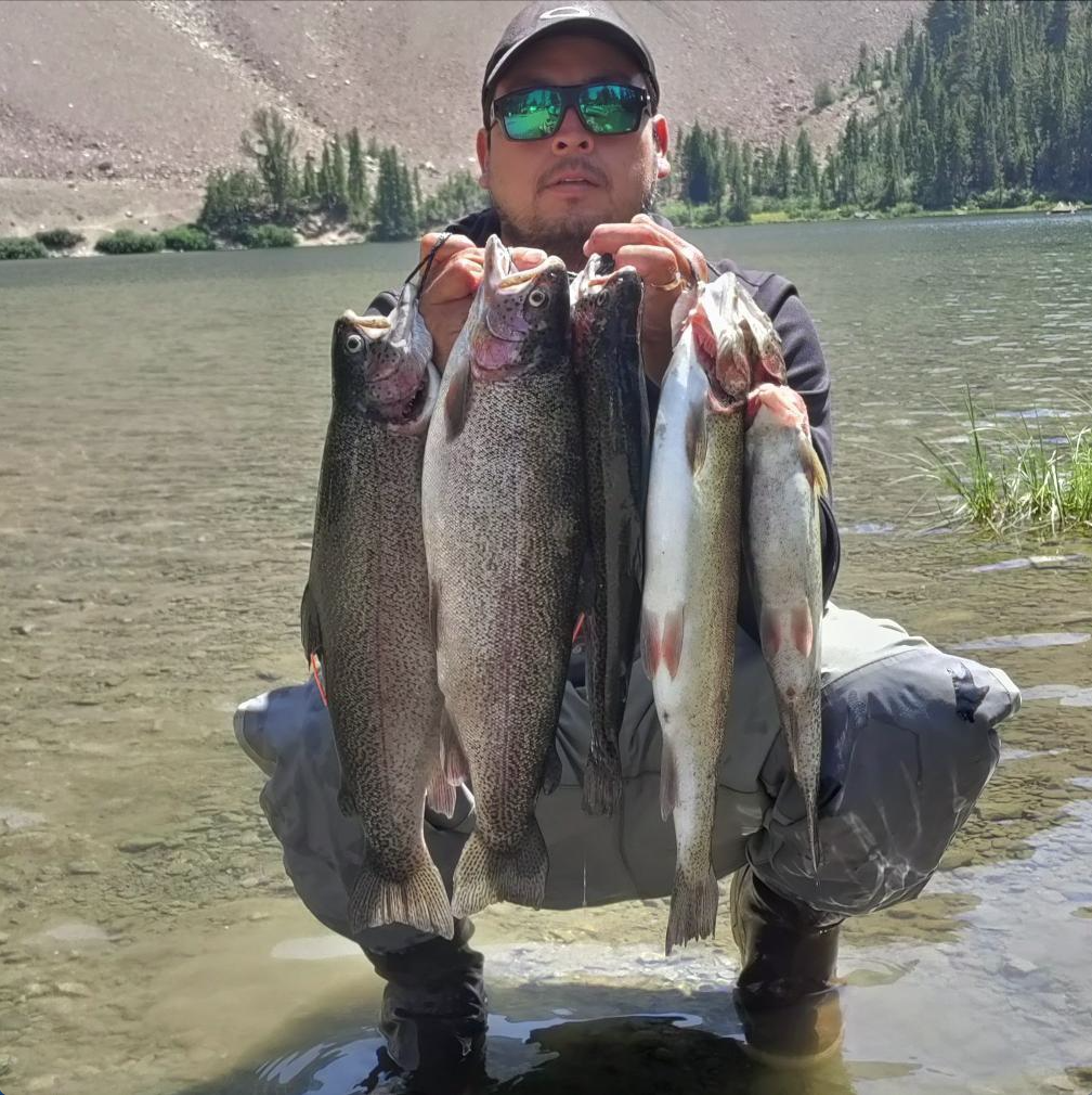 Perspective: Eastern Sierra trout stocking issues reaching boiling point