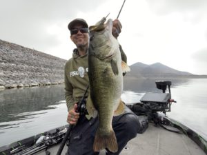 Big striped bass are showing up in the Colorado River, smallmouth