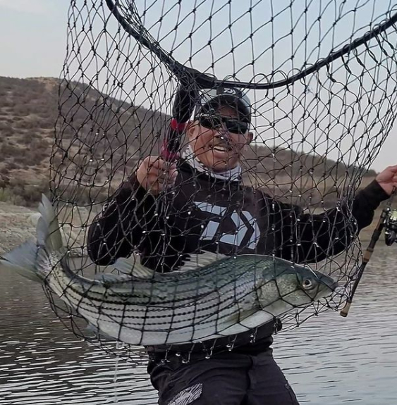 Dana Wharf Sportfishing - That's no whitefish! When fishing out deep with  live bait on dropper loops sometimes strange things happen. Bad life  decision for this 45 lb white seabass caught aboard