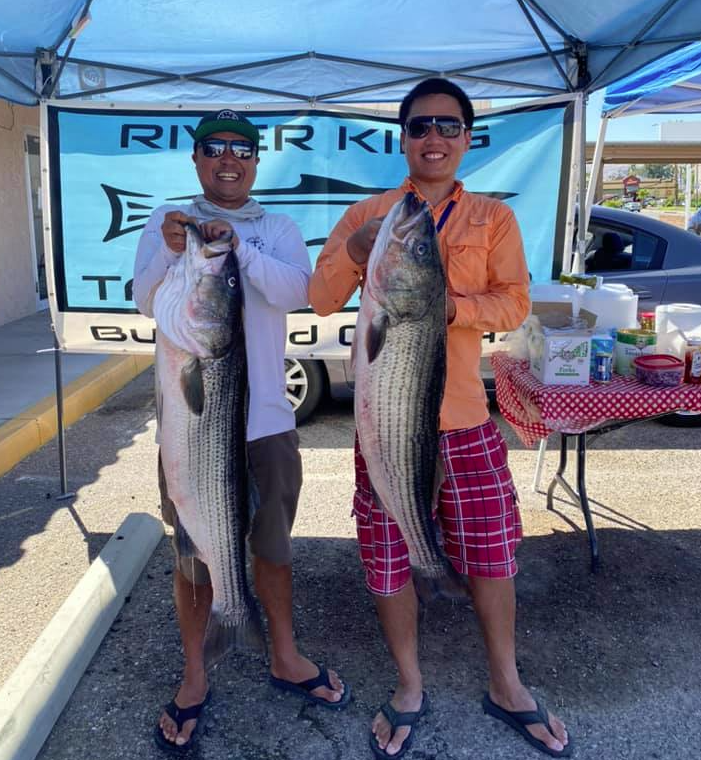 Big striped bass are showing up in the Colorado River, smallmouth