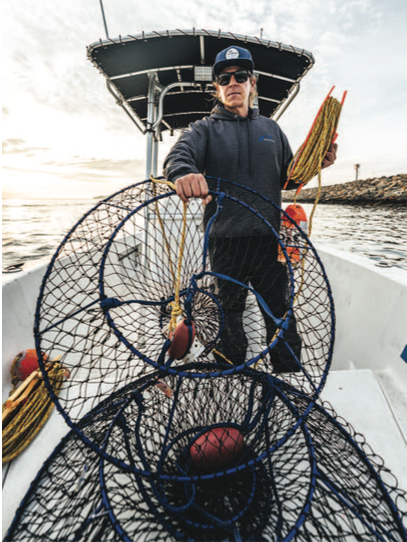 Promar Ambush lobster and crab hoop net and promar hoop net Pro