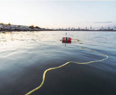 Hoop Netting for Lobster: Redondo Beach & Dana Point 