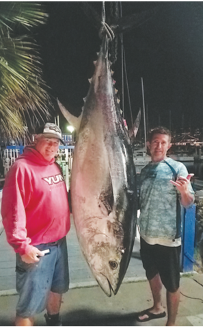 world record blackfin tuna