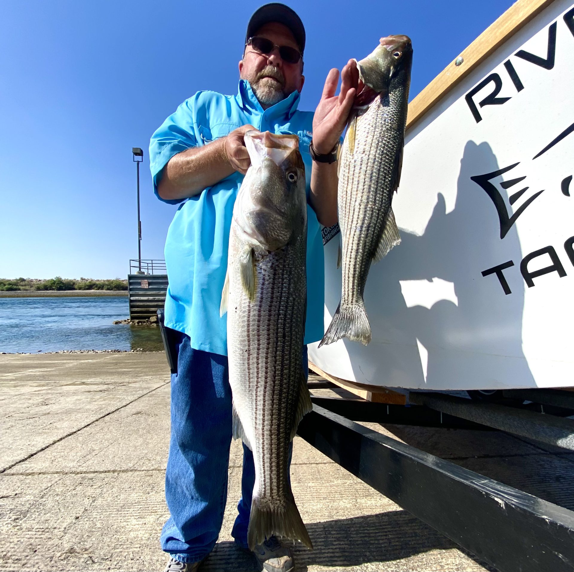 Big striped bass are showing up in the Colorado River, smallmouth bite