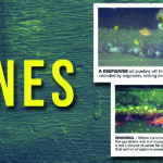 10-29-21-Pipelines