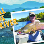10-8-21-Salmon