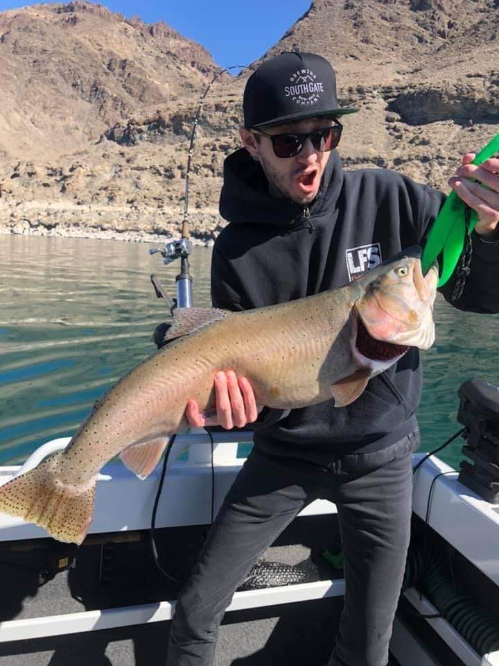 Trophy Lake Trout Fishing - Spectacular NWT