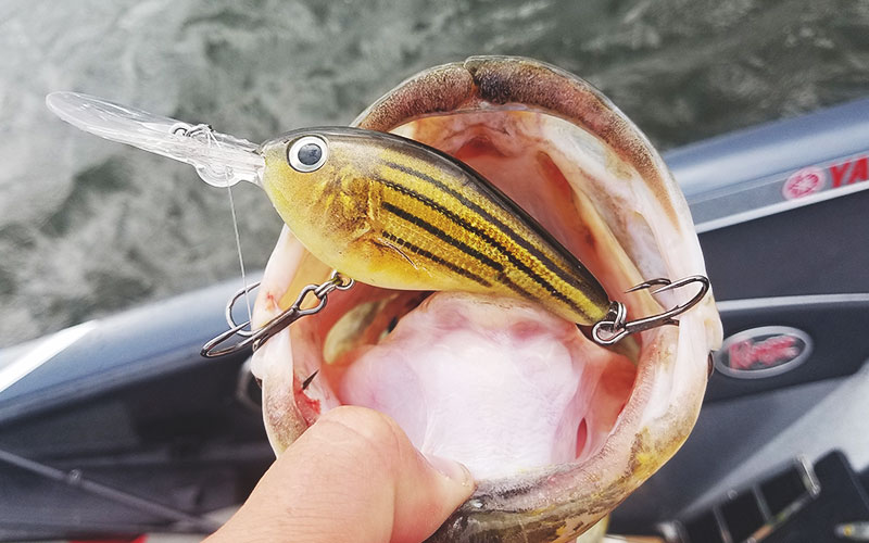 Maximize the effectiveness of your crankbaits