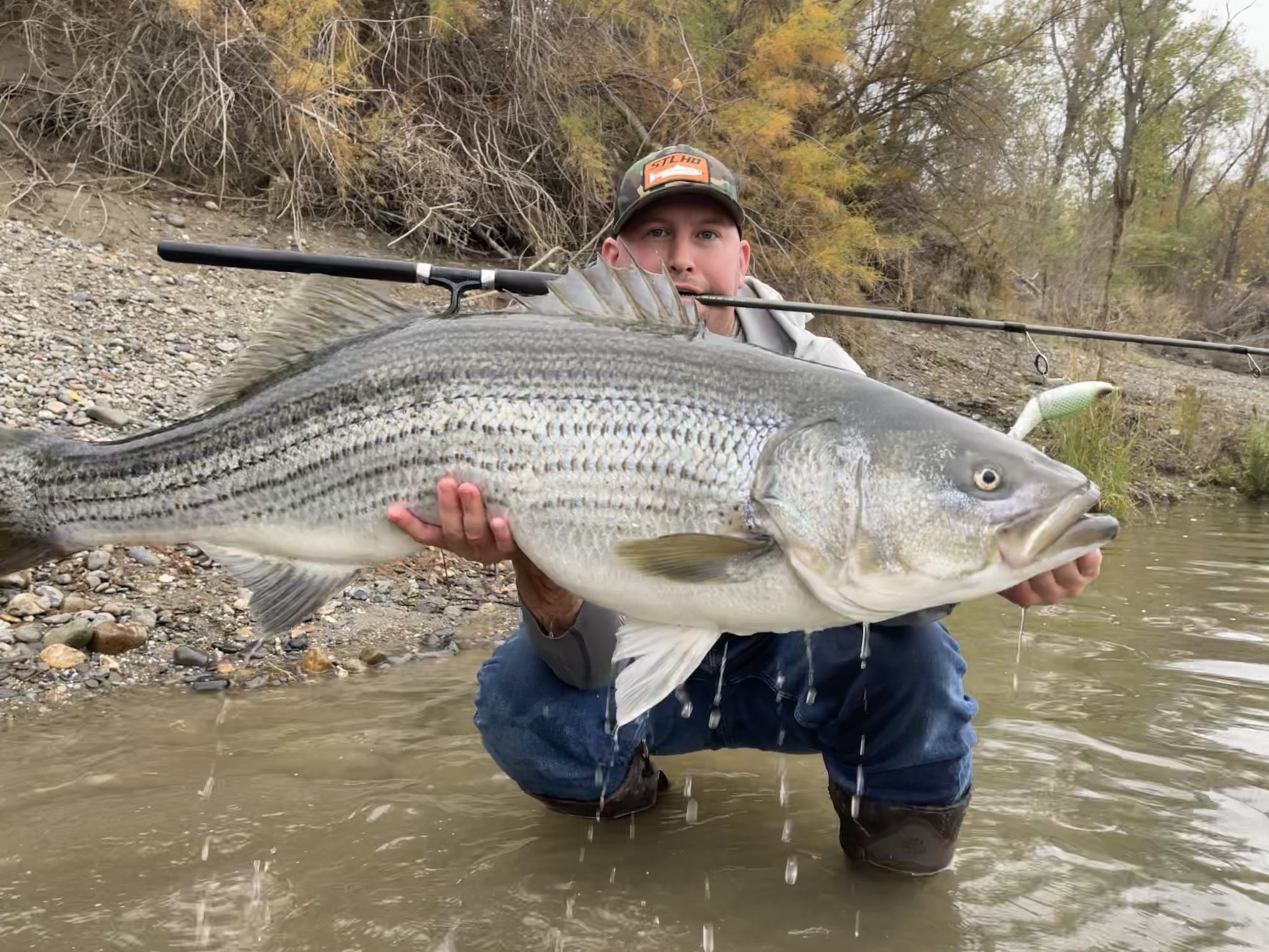 Largest striper since 2018 makes angler’s dream come true | Western ...