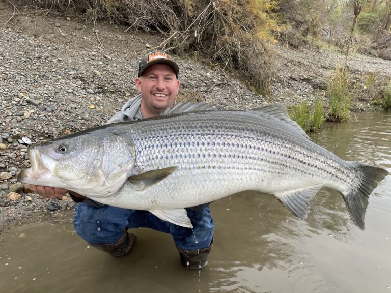 Ultralight Striper Fishing with Swimbaits in SF Bay 