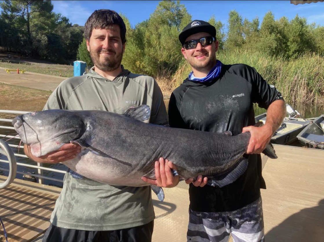 Lake Wohlford catfish record broken while trout anglers count down