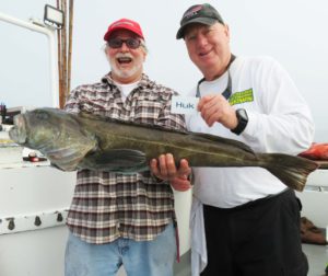 Species Spotlight: Wahoo - Louisiana Sportsman